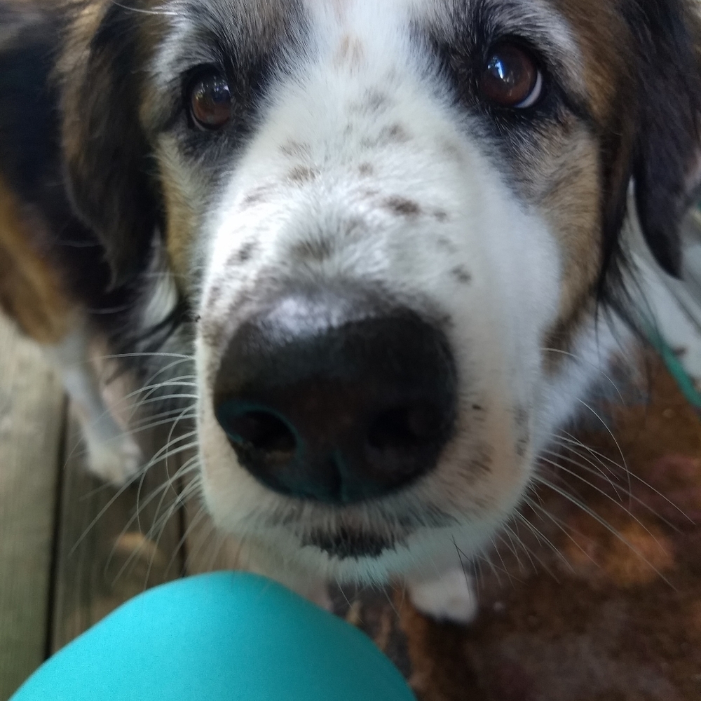 Meet your Posher, Bradley - Picture 5 of 12